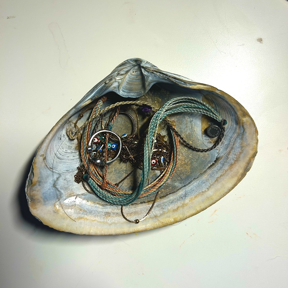 Blue&Golden Shell Jewelry/change/keyholder